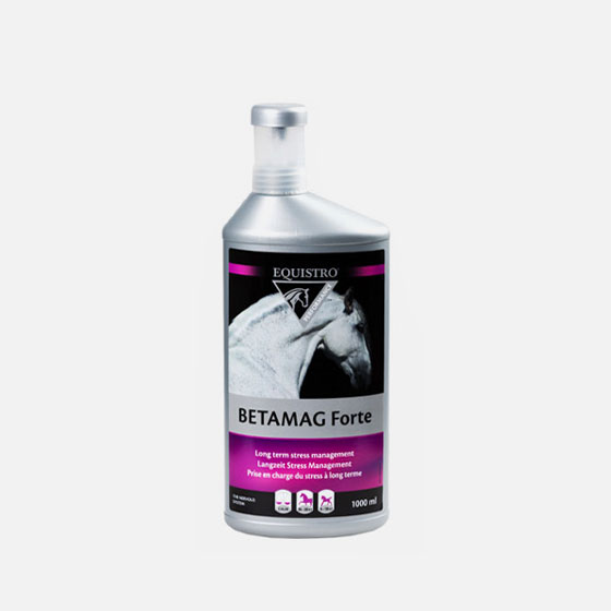 BETAMAG FORTE EQUISTRO - 1 LT