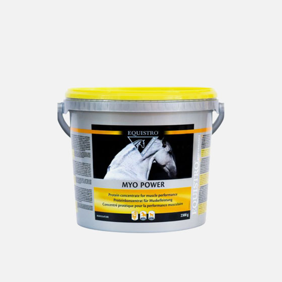 MYO POWER EQUISTRO - 2.3 KG