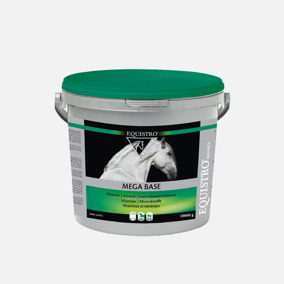 EQUISTRO MEGA BASE - 3 KG
