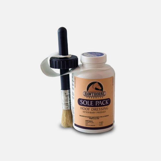 SOLE PACK® HAWTHORNE - 473 ML