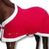 christmas horse blanket