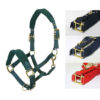 WINNER PILE HALTER - Image 2