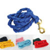BRAIDED NYLON LEAD AND SNAP HOOK - Image 2