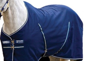 HORSEWARE SUMERSHEET