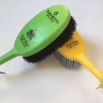 NETTAPIEDI HAAS GIANETTI