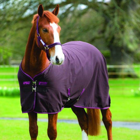 AMIGO HORSEWARE