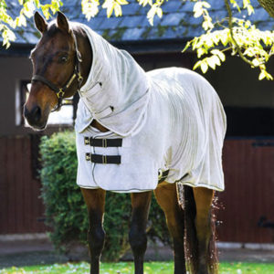 Quick Dry Horseware