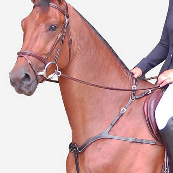 ANATOMICAL DYON BREASTPLATE