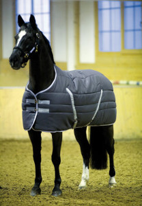 RAMBO HORSEWARE