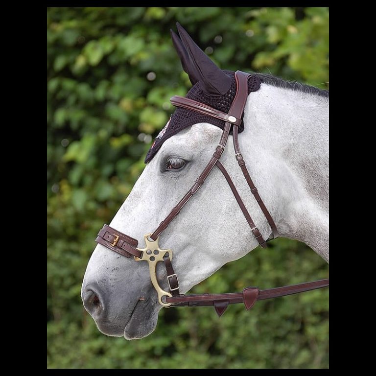 testiera hackamore dyon