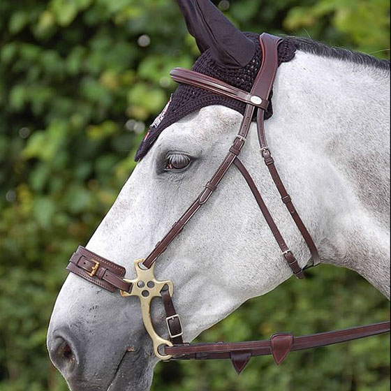testiera hackamore dyon
