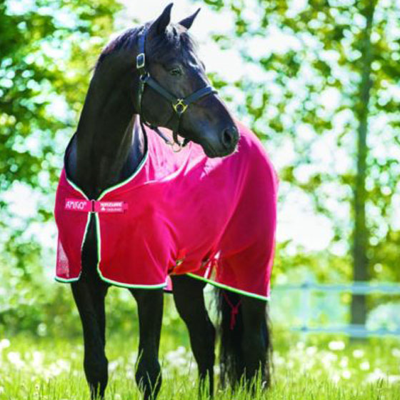 COPERTA AMIGO RETE COOLER HORSEWARE - immagine 3