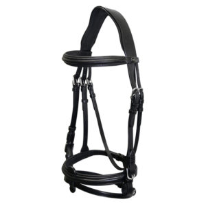 lether bridle
