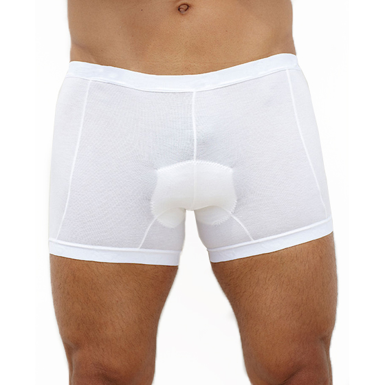 boxer gel razza pura