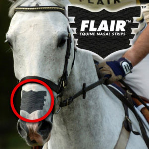 flair nasal patch