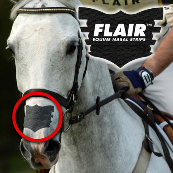 flair nasal patch