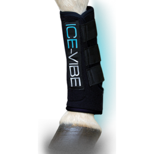 ice vibe leg horseware