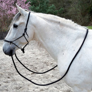 Ethological halter with reins