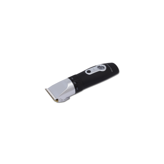 CLIPPER WALDHAUSEN