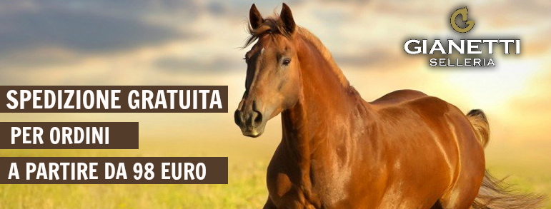 SPEDIZIONE GRATUITA
