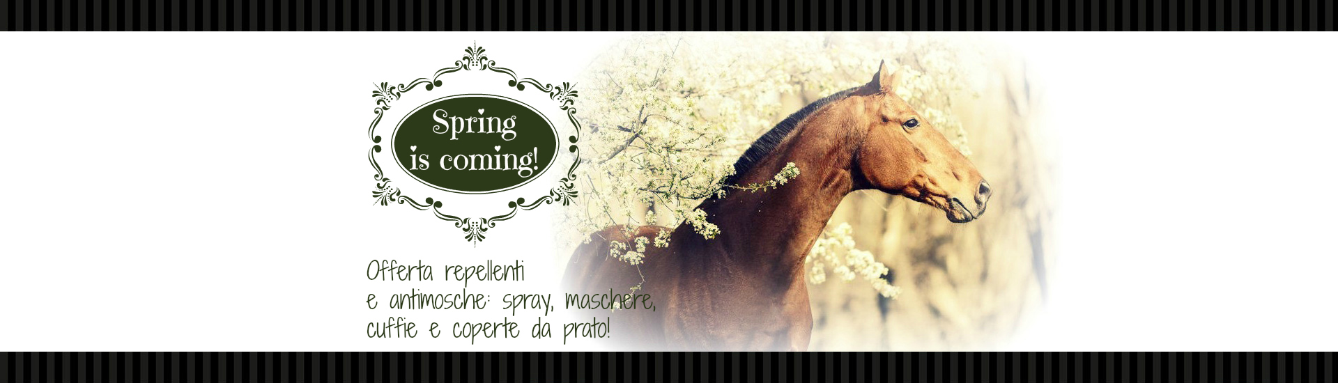 PROMOZIONE ANTIMOSCHE REPELLENTI CAVALLO