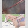 leather draw reins dyon