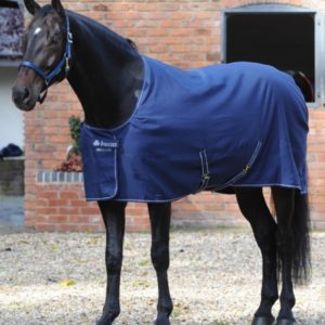 coperta cotone cavallo da box