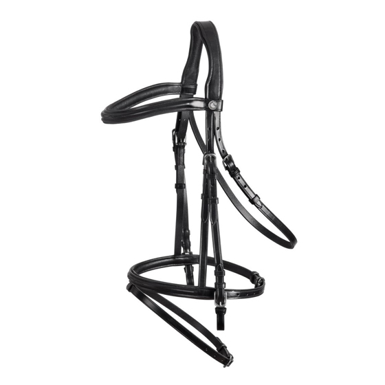 bridle with embroidery
