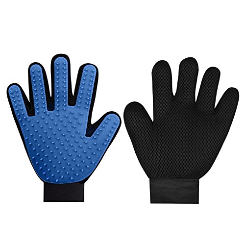 curry mitt cleaning