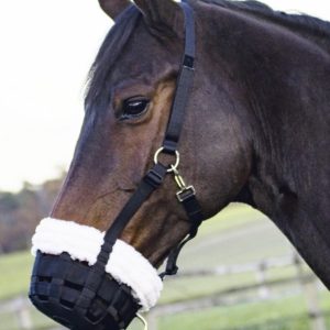 muzzle for horse