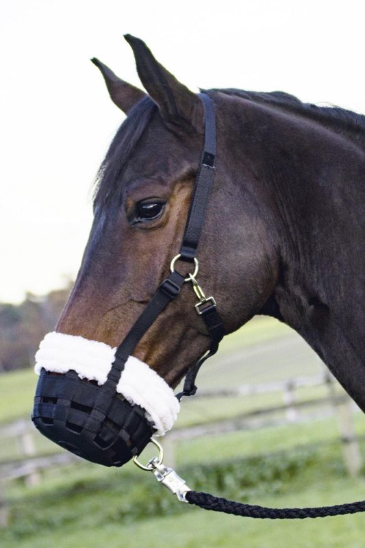 muzzle for horse