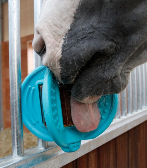 game for horse