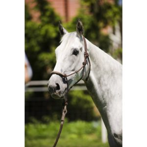ethologic halter rope