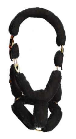 CAPEZZA KENTUCKY AGNELLO - immagine 3