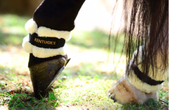 FASCE PASTORALI WRAP AGNELLO KENTUCKY - immagine 3