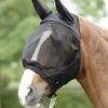 ANTI BUCKLER INSECT MASK - Image 2