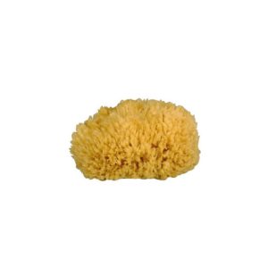 SPUGNA NATURALE