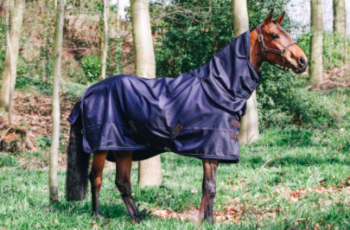KENTUCKY TURNOUT ALL WEATHER BLANKET