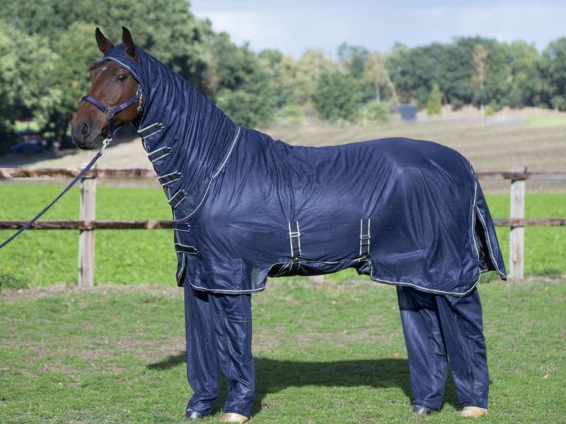 COMPLETE PLUS ANTI-FLY RUG