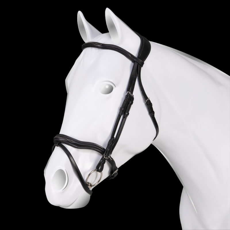 fancy horse bridle
