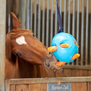 ball with carrots