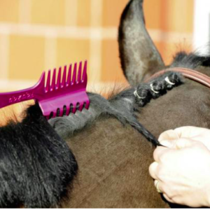COMB FOR BRAIDS
