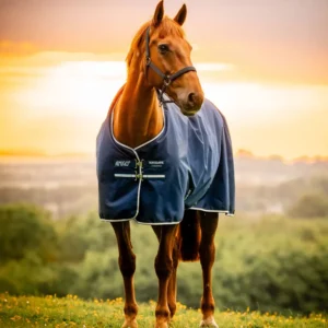 COPERTA LITE PADDOCK AMIGO HORSEWARE