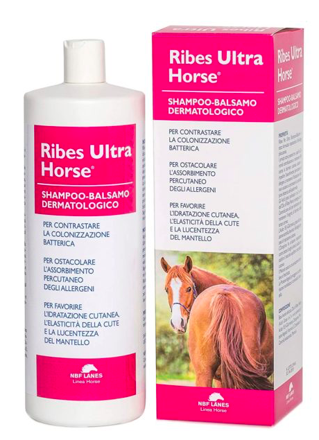 dermatological horse shampoo