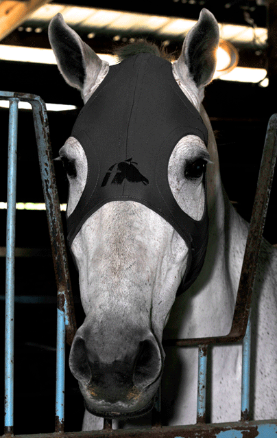 MASCHERA LIQUID TITANIUM MASK FENWICK - immagine 3