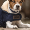 KENTUCKY DOG COAT COAT - Image 3