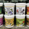 OFFICINALIS COOKIE - Image 2