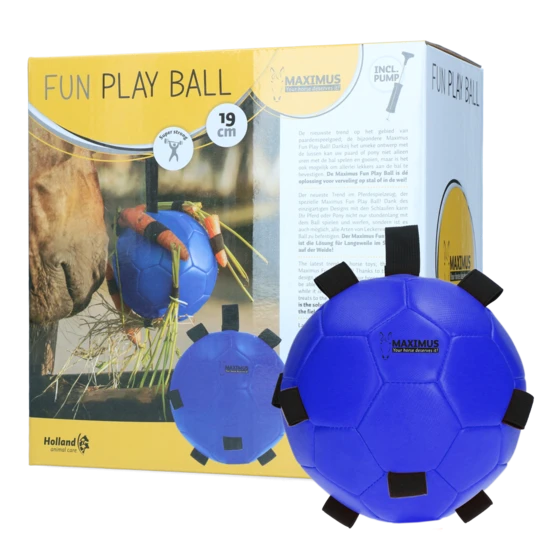 PALLA GIOCO FUN PLAY