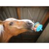 HORSE LICKIT GRANOLA - immagine 3
