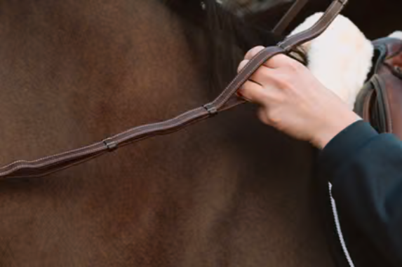 leather handle reins